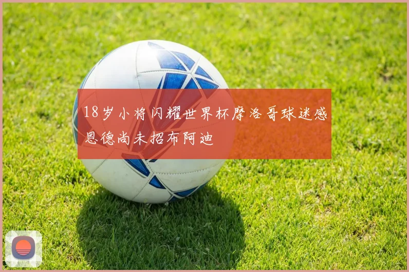 18岁小将闪耀世界杯摩洛哥球迷感恩德尚未招布阿迪